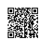 BKAE2-31330001 QRCode