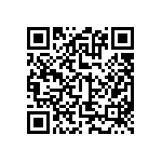 BKT-131-04-L-V-A-P QRCode