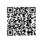 BKT-165-04-L-V QRCode