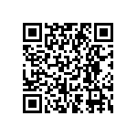 BYD13GGPHE3-73 QRCode