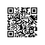 DW-04-19-T-Q-300 QRCode