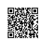 DW-10-17-L-S-260 QRCode