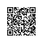 DW-31-13-F-S-945 QRCode