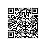 MKP385436100JKM2T0 QRCode