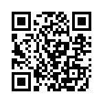 P4KE27C QRCode