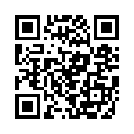 P6SMB13AHM4G QRCode