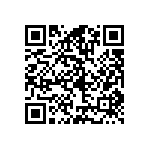 PT0402FR-7W0R33L QRCode