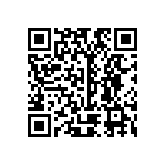 R463I33300001M QRCode