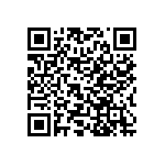 R46KF310045M1M QRCode