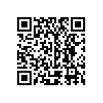 R46KI23300001M QRCode