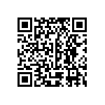 R49AN33300001M QRCode