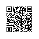 RCP1206B300RJS6 QRCode