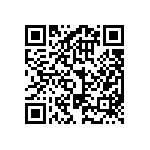 RGH2012-2E-P-303-B QRCode