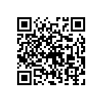 RNC55H1382BSBSL QRCode