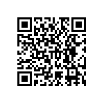 RNC55H1763BPRSL QRCode