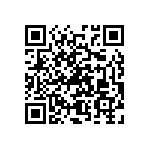 RNC55H2053BSBSL QRCode