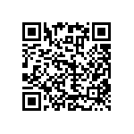 RNC55H2493BSBSL QRCode