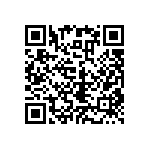 RNC55H80R6FSR36 QRCode