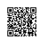 RNC55J2053BSRSL QRCode