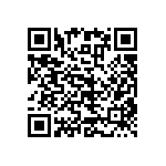 RNC55J2213BSRE6 QRCode