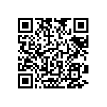 RNC55J2872BSBSL QRCode