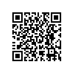 RNC55J4022FSRSL QRCode