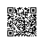 RNCF1206BKE301K QRCode