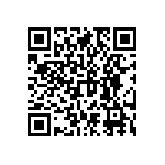 RNCF2512BKE1M02 QRCode