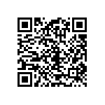 RT1206BRC071K13L QRCode