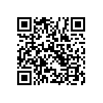 RT1206CRE07383KL QRCode