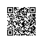 RT1206DRE071K02L QRCode