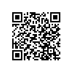 RT1206DRE071K91L QRCode