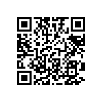 RT1206FRD0747KL QRCode