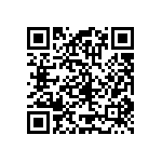 RT1206FRE0719K6L QRCode