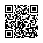 T38000-13-0 QRCode