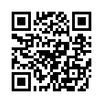 T38542-13-0 QRCode