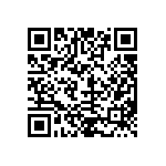 T540D687K2R5CH87057610 QRCode