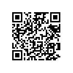 V300B3V3E100BG QRCode