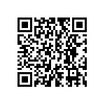 VG95234N1-36-3SW QRCode