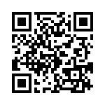 VG95234P100 QRCode