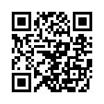 VI-B1V-IV-F4 QRCode