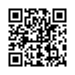 04200009UR QRCode