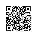 0505Y2004P30BQT QRCode