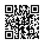 09553667833741 QRCode