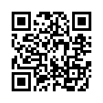 1040608017 QRCode