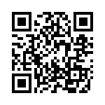 120530-1 QRCode