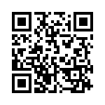 13-38 QRCode