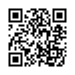 132195RP QRCode