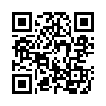 172127 QRCode