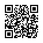 20-9513-10T QRCode